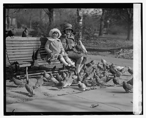 McAdoo children, [11/9/23