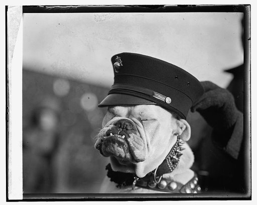 Marine mascot, [12/1/23