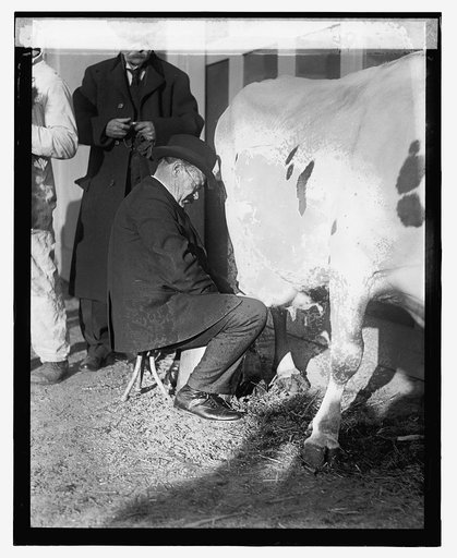 Sen. Johnson milking, 12/29/23