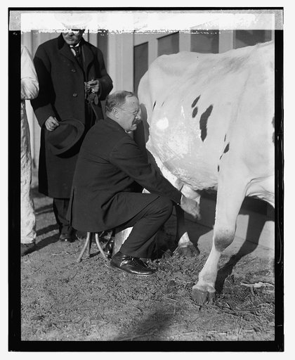 Senator Johnson milking, 12/29/23