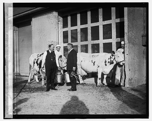 Sen. Johnson & Secty. Wallace, [12/29/23