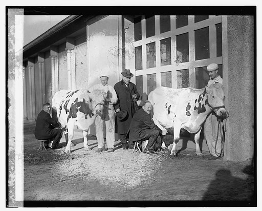 Secty. Wallace & Secty. Johnson, [12/29/23