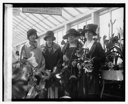 Amaryllis show, 1924, 3/15/24