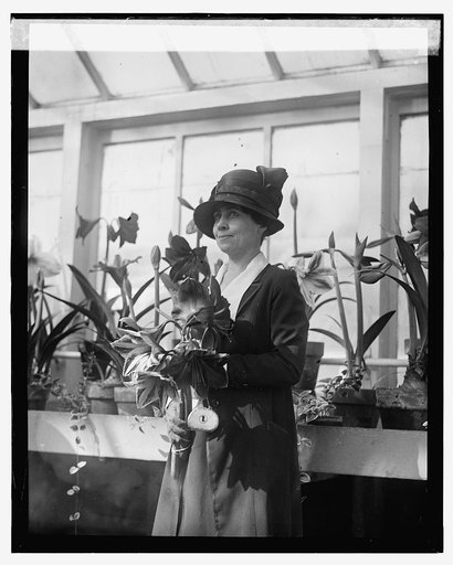 Mrs. Coolidge, Amaryllis show, 3/15/24