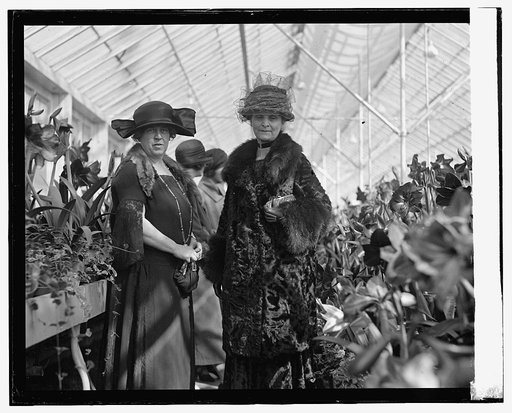 Amaryllis show, 1924, 3/15/24