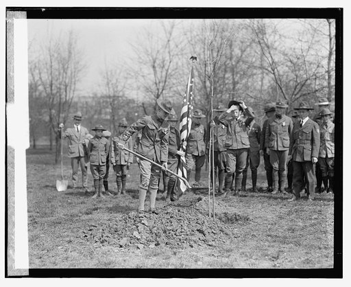 Boy Scouts plant tree