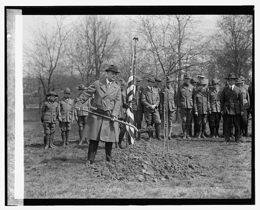 W.E. Wilson of Indiana, Boy Scout tree planting