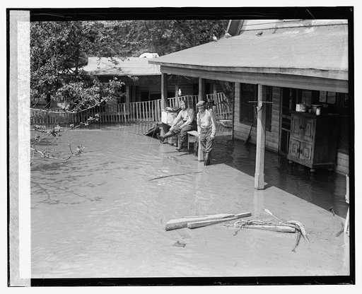 Flood