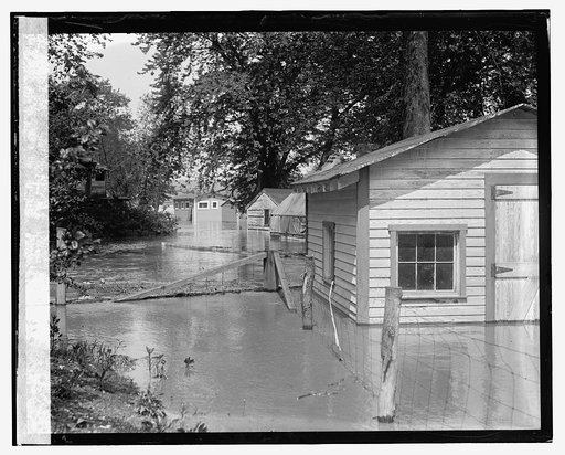 Flood