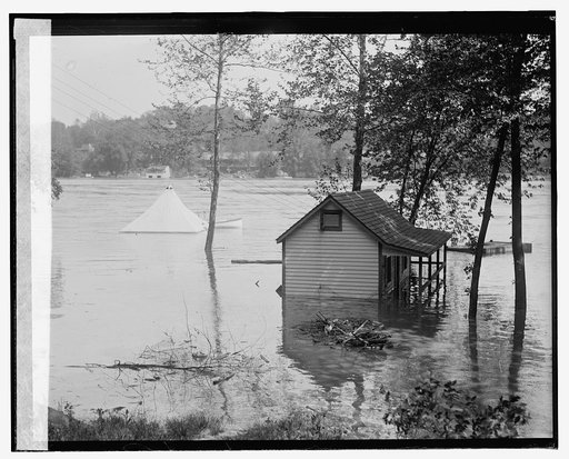 Flood