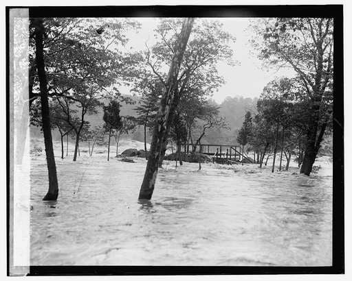 Flood