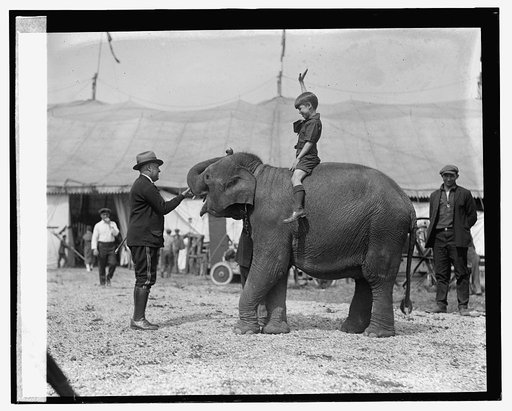 Teddy Roosevelt at circus, [5/13/24