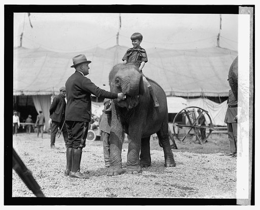 Teddy Roosevelt, 3d, at circus, [5/13/24