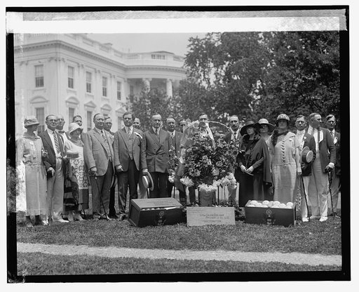 Florida realtors, 6/5/24