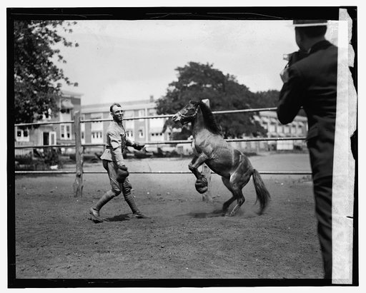 Albert Walker, M.C. & pony of Col. Fred W. Van Dyne[?], 7/21/24