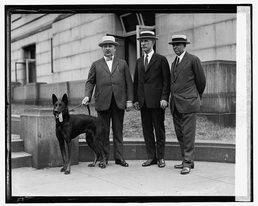 Police Com. Enright of New York, Maj. Sullivan & Col. R. Waldo, [7/30/24