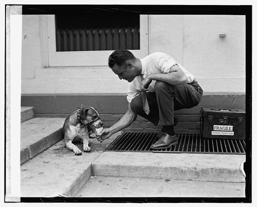 Jerry Frankel, 8/7/24