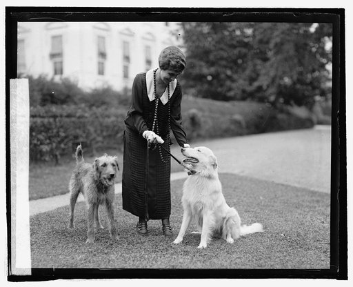 Mrs. Coolidge with "Rob Roy & Laddie Buck," 9/26/24