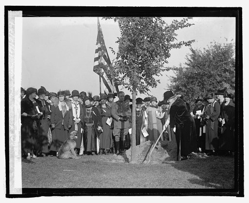 Natl. War Mothers of Dist. plant tree at Lincoln Memorial, 10/13/24