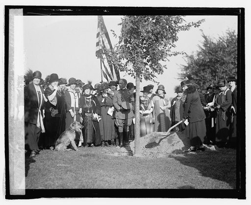 Natl. War Mothers of Dist. plant tree at Lincoln Memorial, 10/13/24