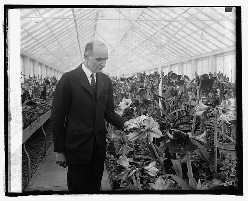 Sec. Jardine at Amaryllis Show, [3/9/25