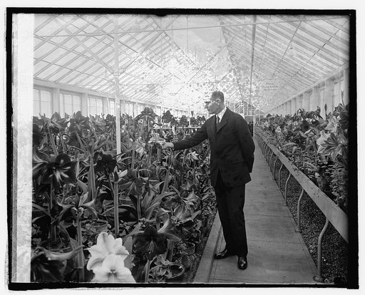 Sec. Jardine at Amaryllis Show, 3/9/25