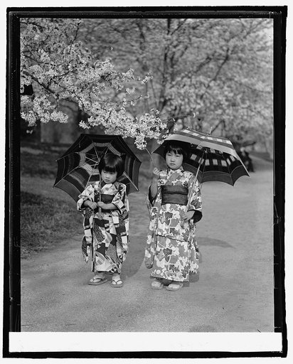 Sumi and Sada Tamura, [3/28/25