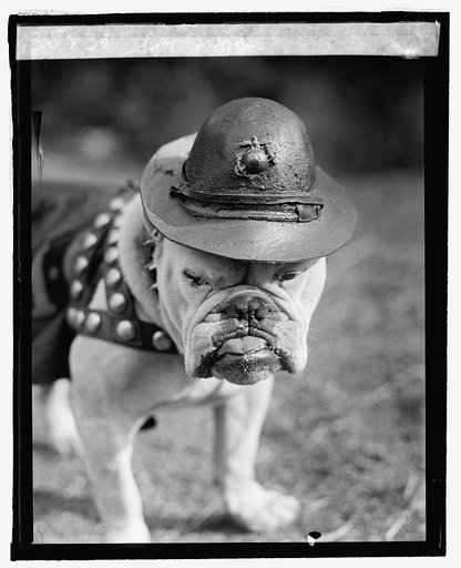Sgt. Jiggs