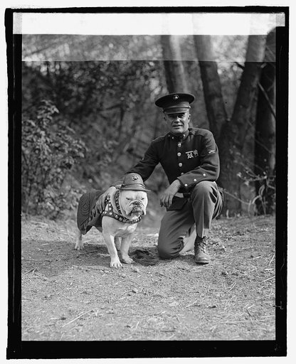Sgt. Jiggs