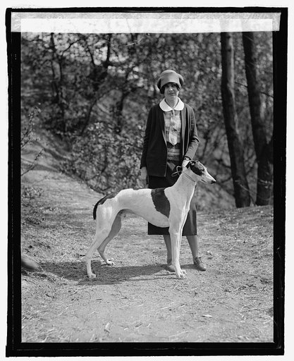 Miss Barbara Watson with "Champion Liskerd Fortunatis, 4/14/25