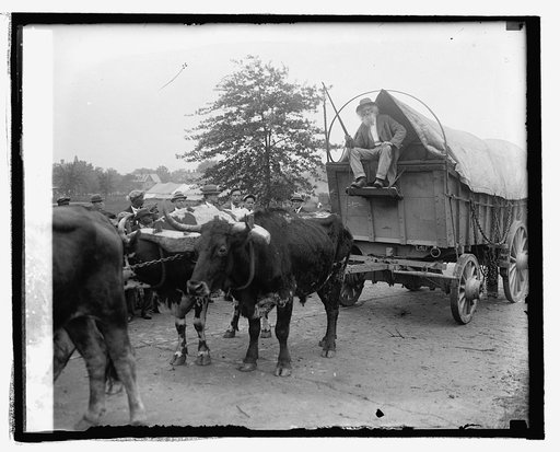 Ezra Meeper with 101 ranch, 5/11/25