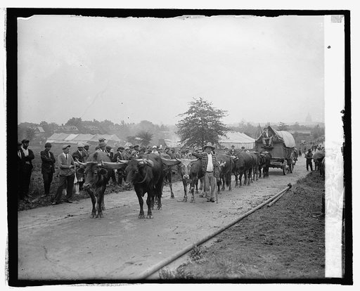 Ezra Meeper with 101 ranch, 5/11/25