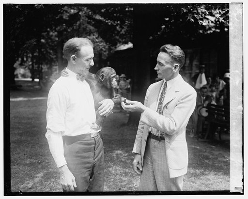 F.P. Lowe and L.H. Wittner, 7/23/25