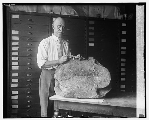 C.W. Gilmore with fossil turtle, Smithsonian, 9/4/25