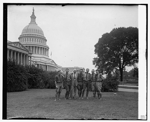 Tree surgeons at Capitol, [8/20/25