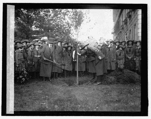 Girl Scouts plant tree to honor Juliette Low, [10/31/25