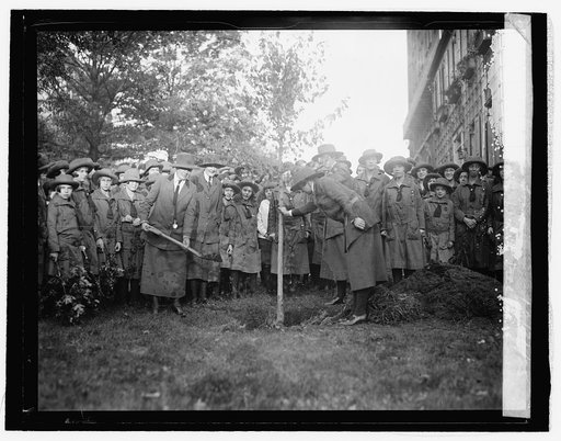 Girl Scouts plant tree to honor Juliette Low, 10/31/25