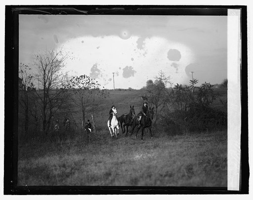 Rock Creek Hunt Club hunt, 11/4/25
