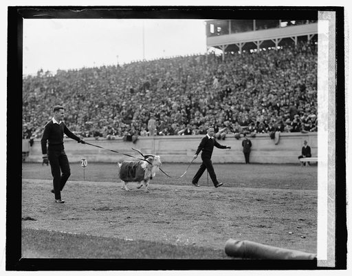 Navy mascot, Navy - Princeton game at Balt. Md., 10/17/25