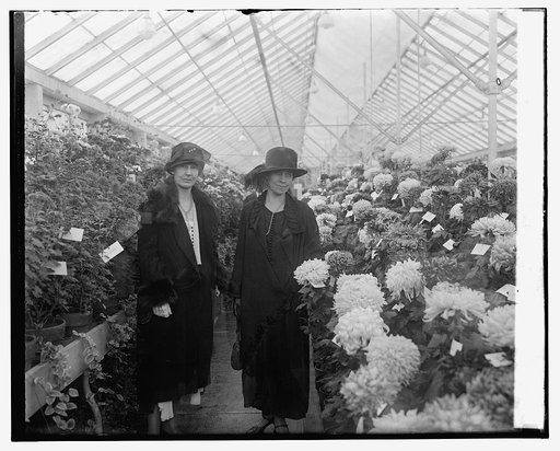Mrs. Wm. M. Jardine & Mrs. Coolidge, Chrysanthemum show, 11/5/25