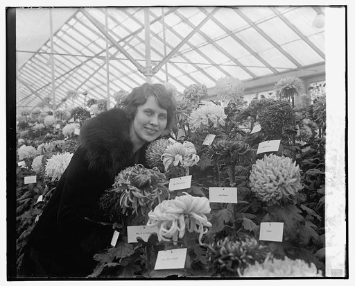 Miss Rita Hulme, niece of Sec. Jardine, 11/5/25