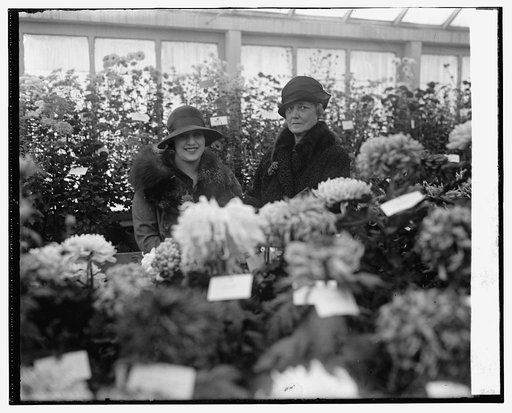 Madame Samy & Mrs. Harry New, 11/5/25