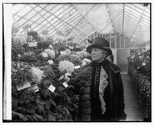 Mrs. Frank B. Kellogg, 11/5/25