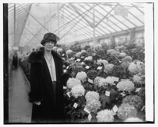 Mrs. Wm. M. Jardine, 11/5/25