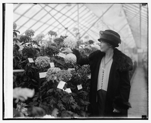 Mrs. Wm. M. Jardine, 11/5/25