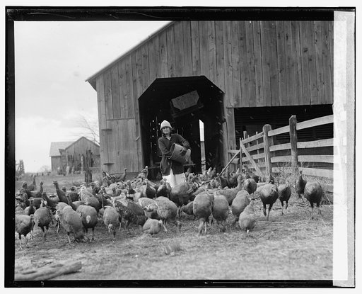 Mrs. W.S. Day, 11/13/25