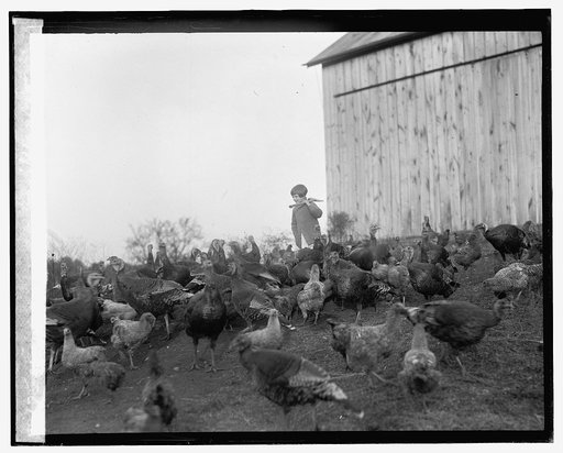 Geraldine Day, 11/13/25