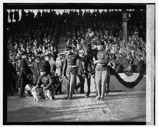 Marines & army mule at Marine - Fort Benning game, 11/21/25