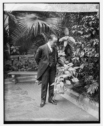 Amb. Tellez with Mexican Xmas flower, 12/16/25