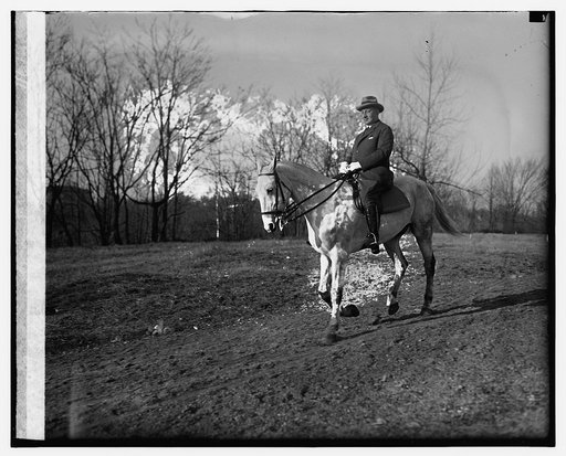 Axel L. Astrom, Minister from Finland, 1/6/26